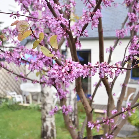 بيت للعطل Cozy Holiday In France Near Beach